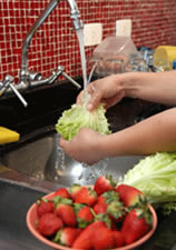 Se puede transmitir a través de los productos cárneos (hamburguesas, jamón crudo, carnes en general) mal cocinados o crudos, pero también a través de las deposiciones de otros niños infectados, en guarderías o a través del agua no potable.